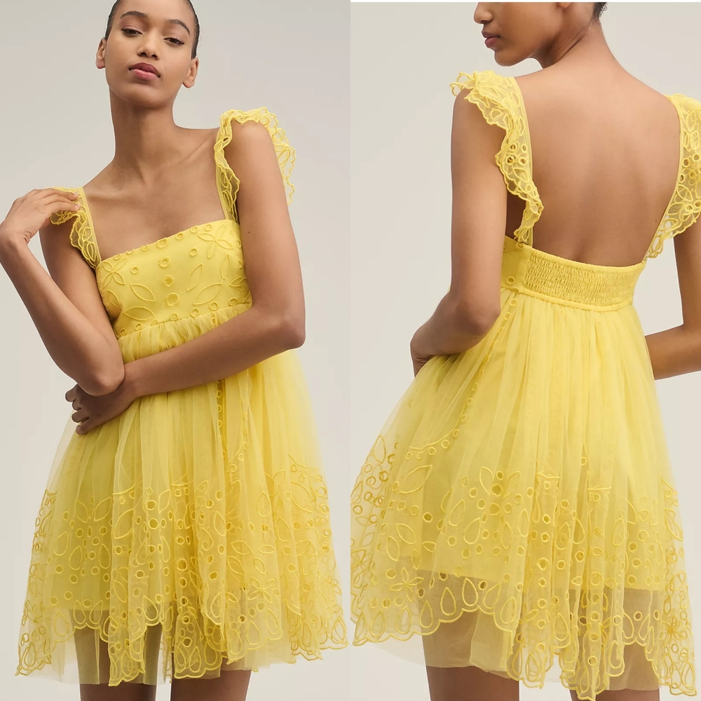 Let Me Be By Anthropologie Eyelet Tulle Mini Dress - Picture 1 of 9